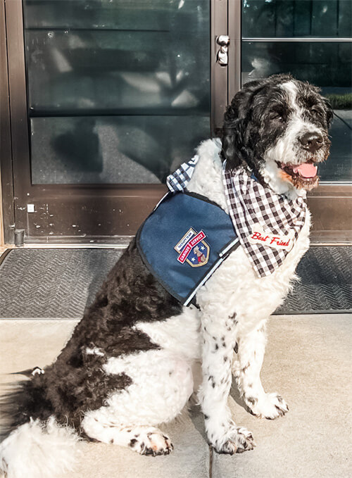 Tucker the Therapy Dog